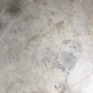 Meet your Posher, Landon a